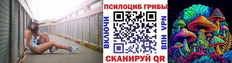 цены наркотик  Сосновка  Псилоцибиновые грибы Psilocybe 